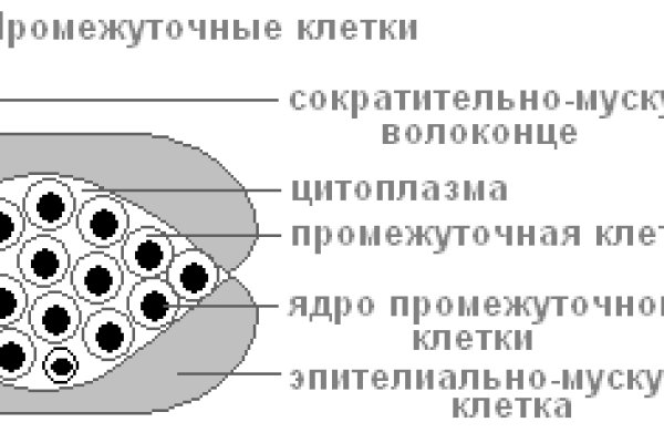 Кракен маркет kr2web in