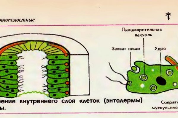 Кракен сайт 6